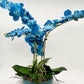 Handcrafted Silk Orchids for a Tranquil Oasis