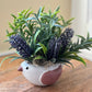 Bird Planter with Thyme and Lavender