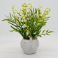 Chicken Planter with Lily of the Valley