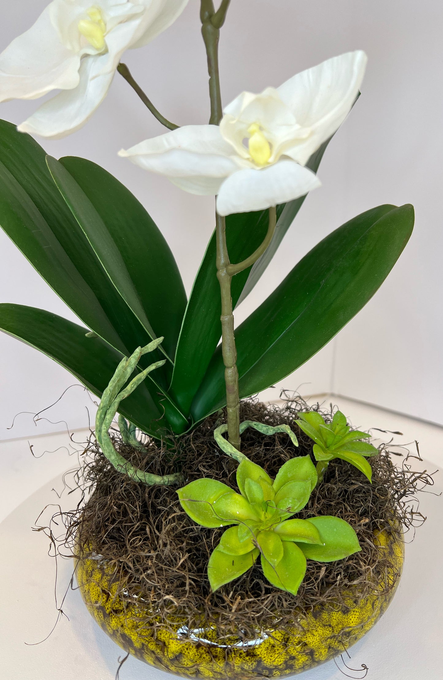 White Orchid Arrangement in Yellow Ceramic Dish