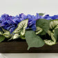 Lifelike Beauty in a Box: Blue Hydrangeas and Variegated Syngonium Leaves