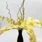 Black Bottle Yellow Orchids