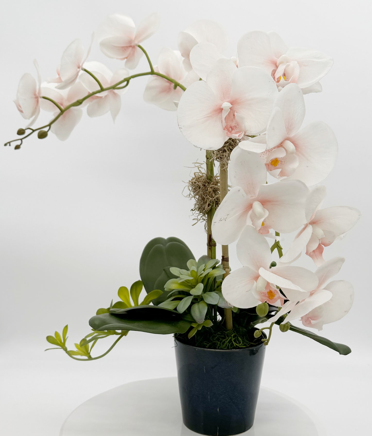 Light Pink Orchid Arrangement