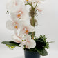 Light Pink Orchid Arrangement