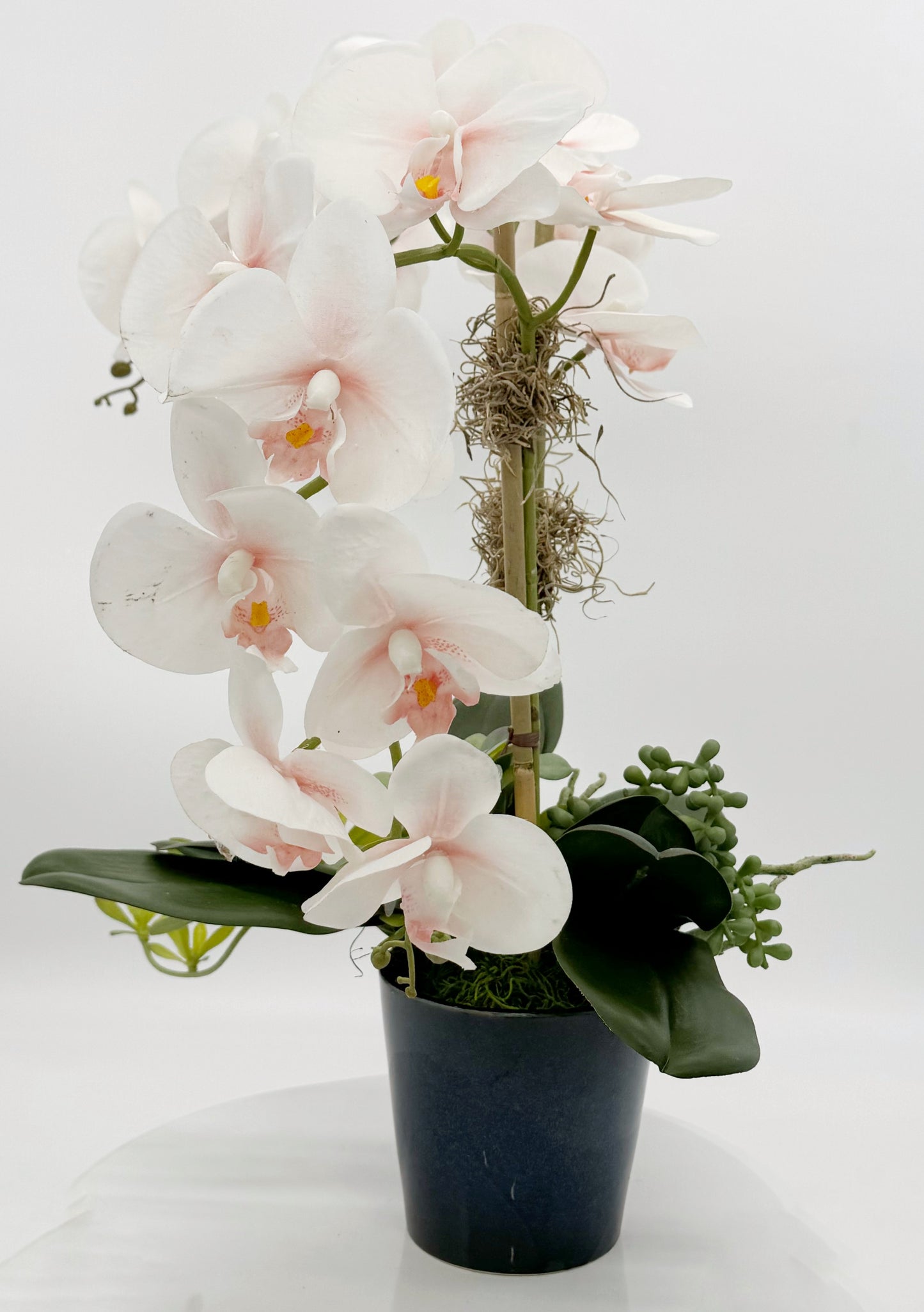 Light Pink Orchid Arrangement