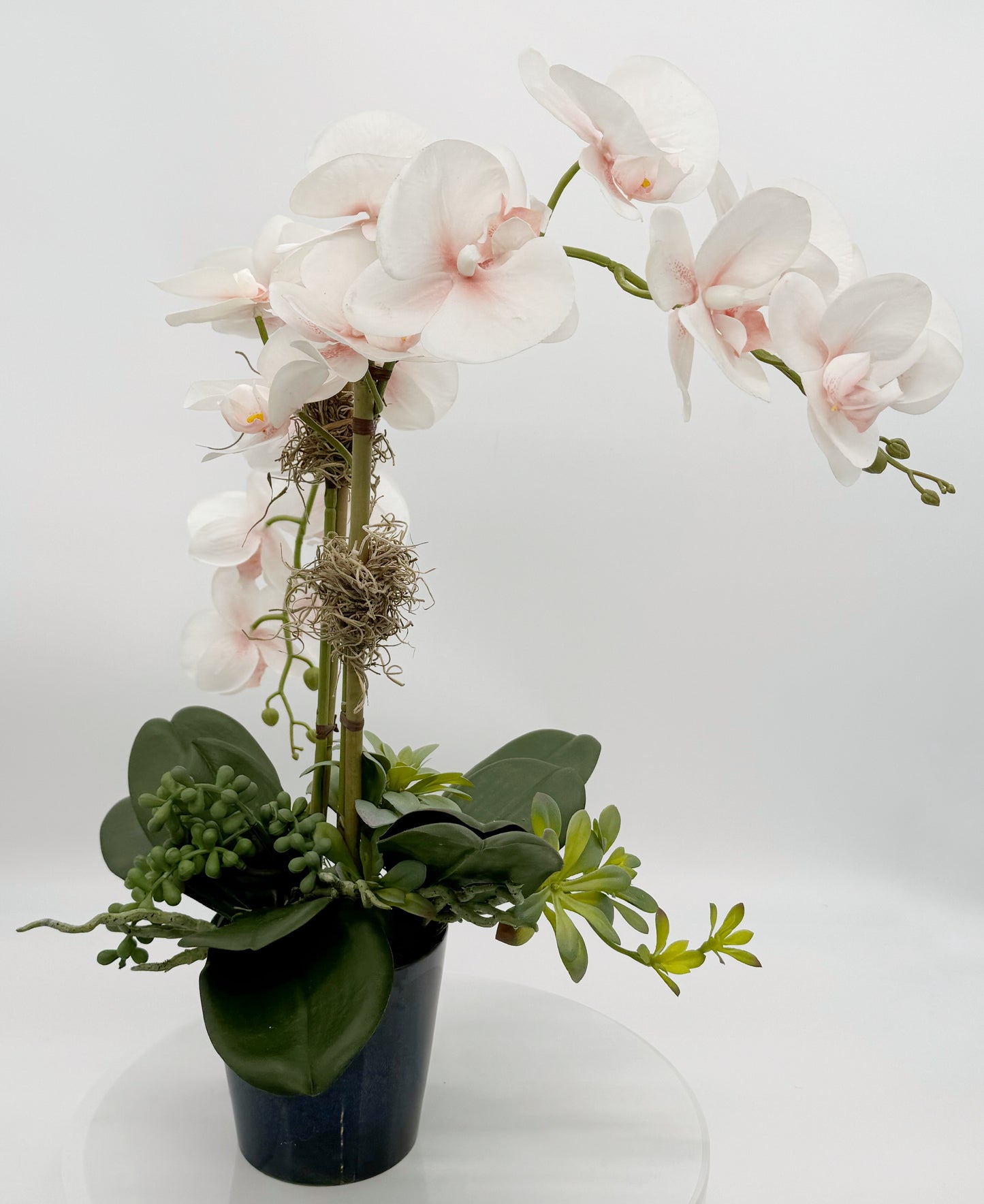 Light Pink Orchid Arrangement