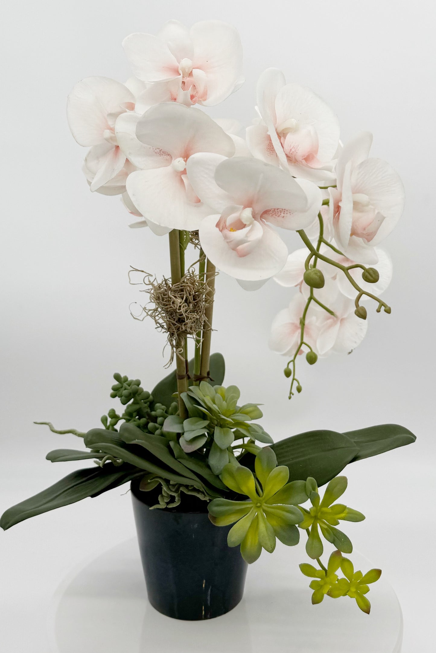 Light Pink Orchid Arrangement