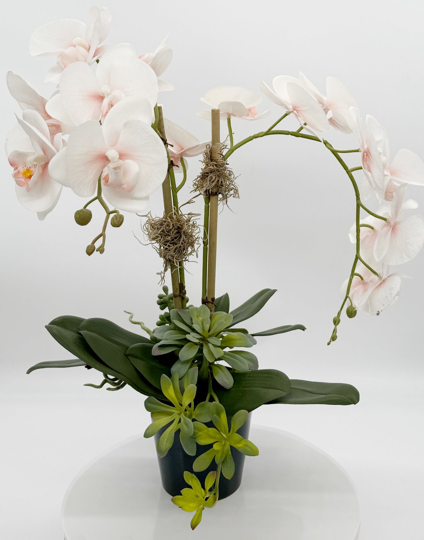 Light Pink Orchid Arrangement