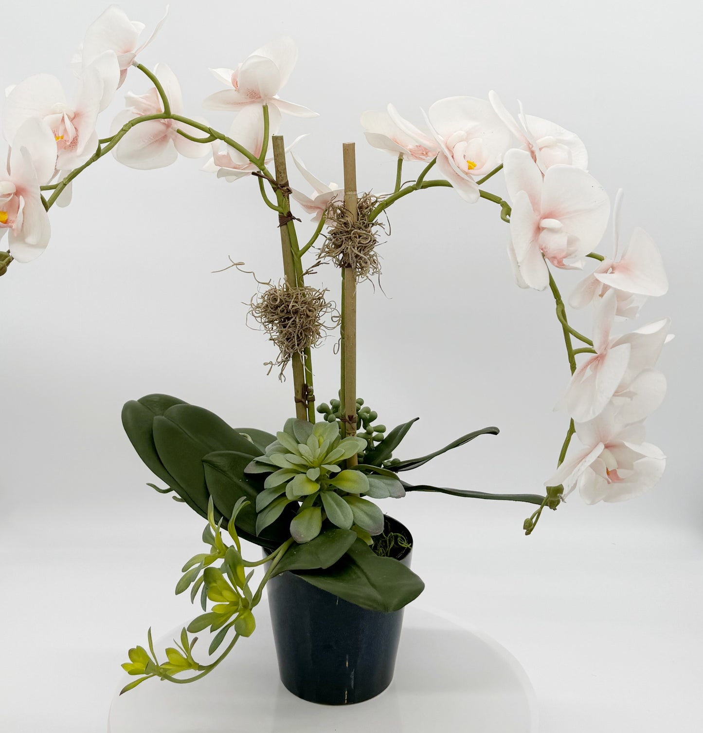 Light Pink Orchid Arrangement