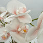 Light Pink Orchid Arrangement