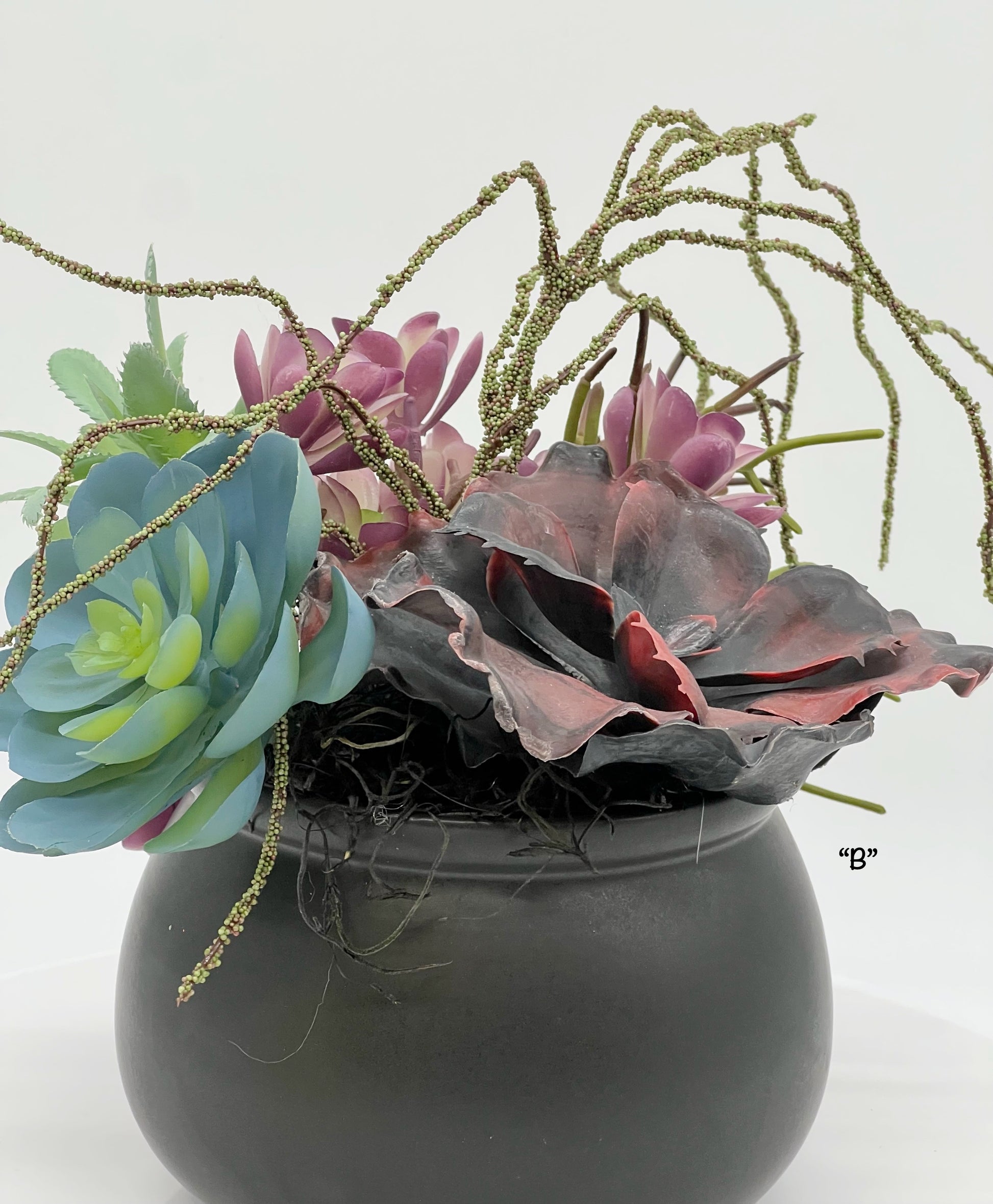 succulent halloween Halloween Succulents in "Cauldron" Planters