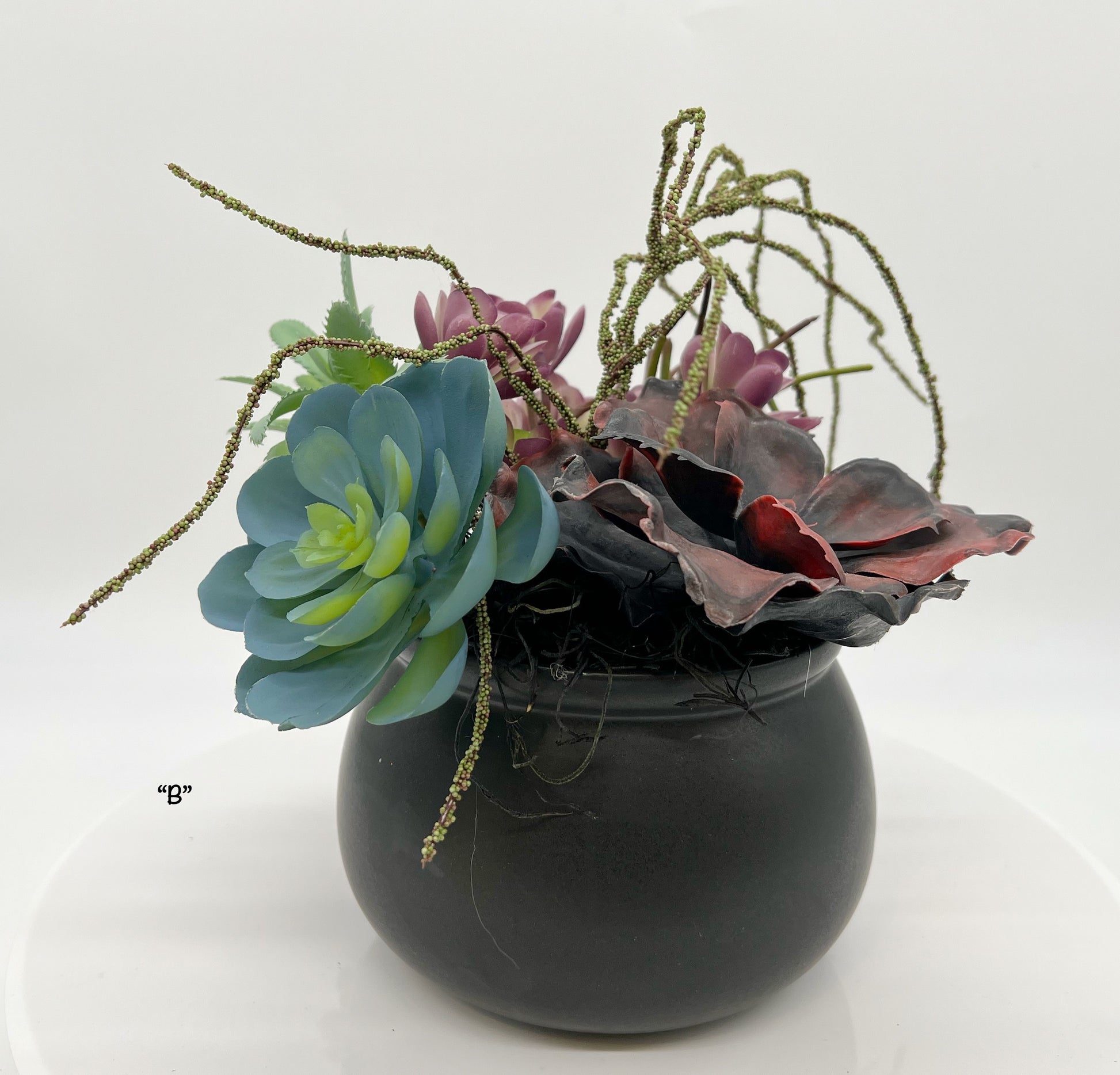 spooky succulents Halloween Table Top Decor | Halloween Succulents