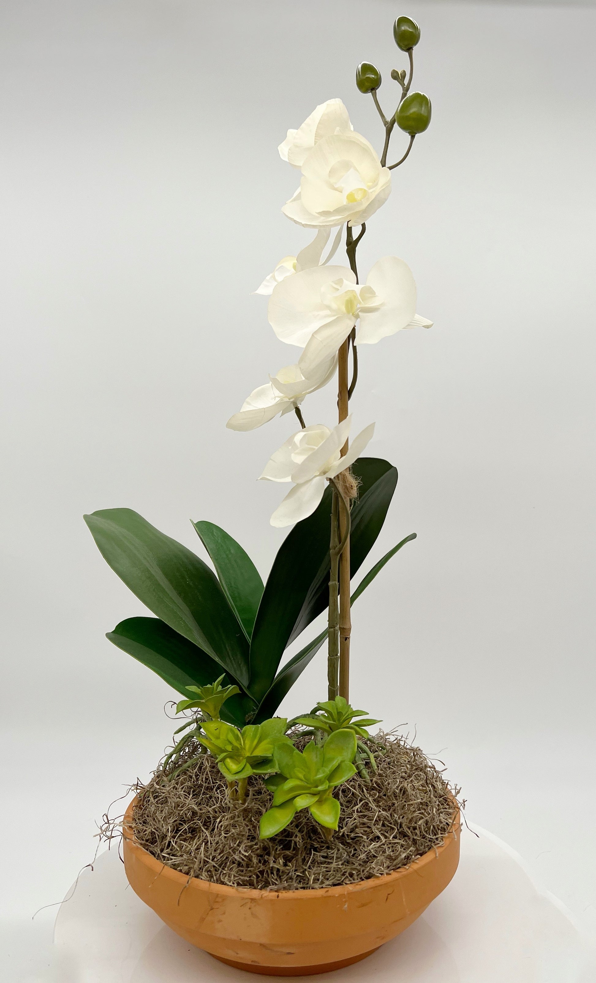 White Orchid and Succulents Silk Arrangement