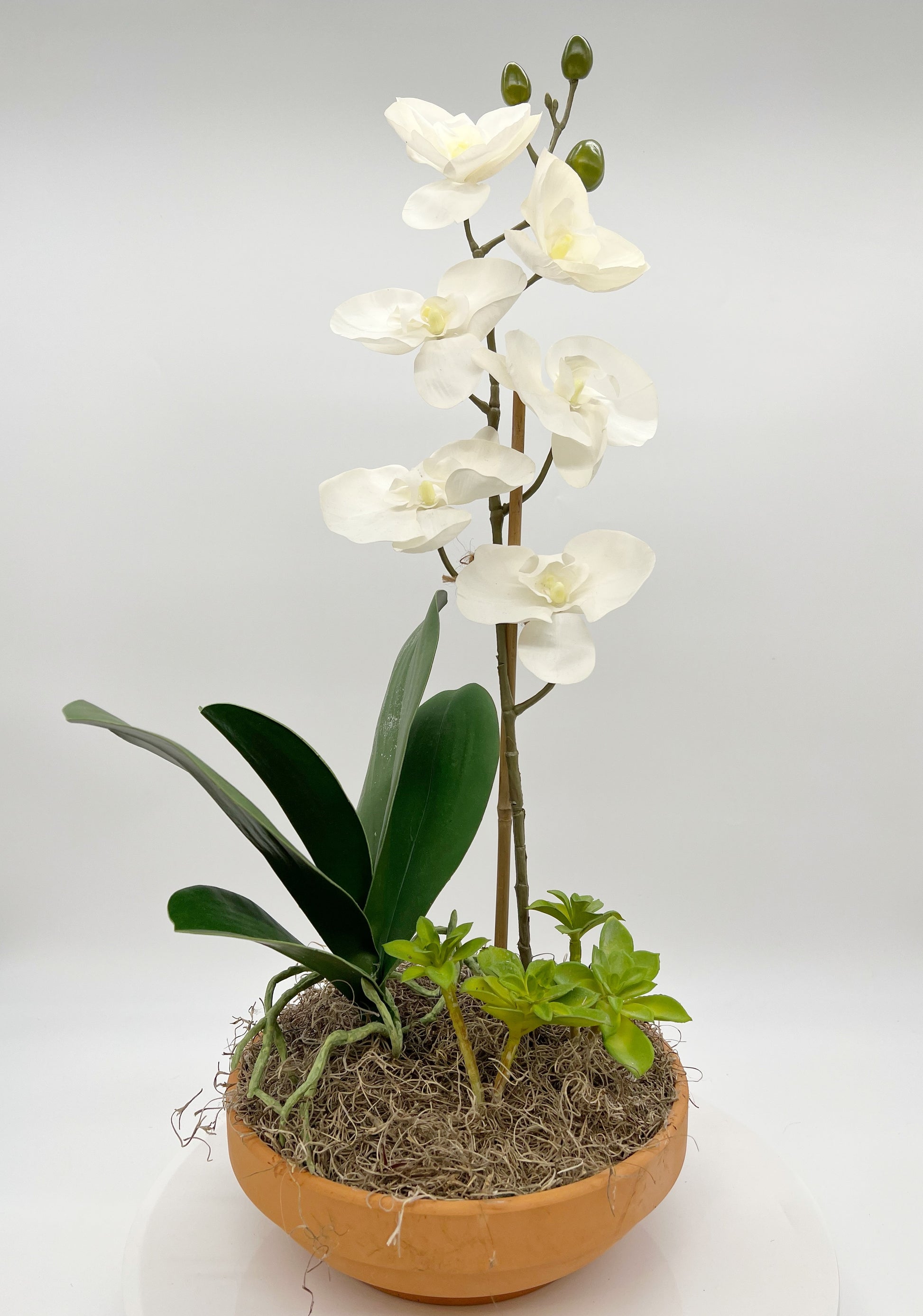 White Orchid and Succulents Silk 