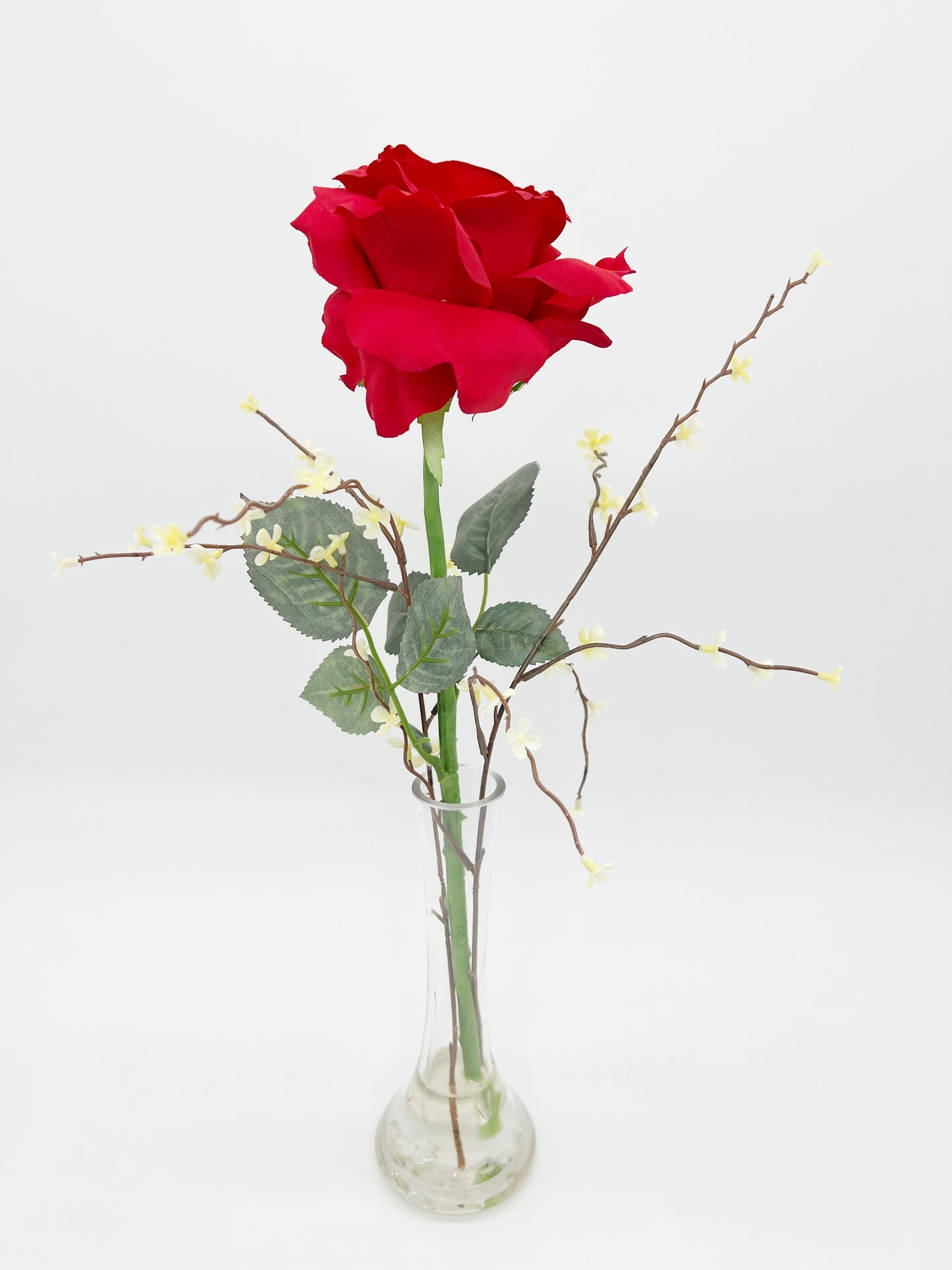 Georgian Red Rose in Delicate Bud Vase