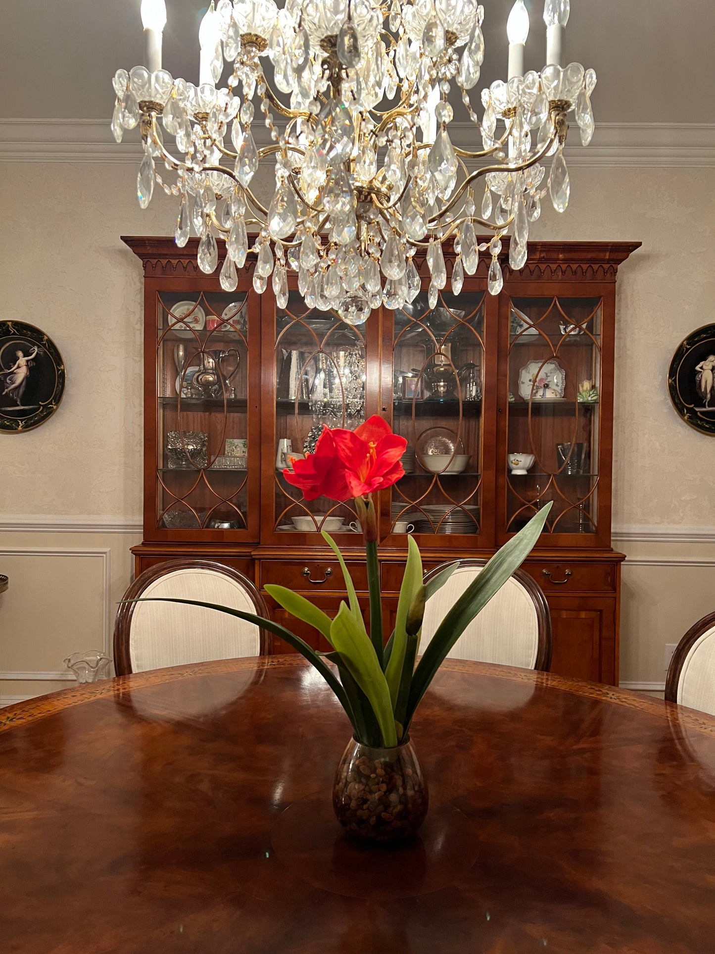 Red Amaryllis Arrangement in Amber Glass