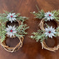 Holiday Poinsettia Napkin Rings