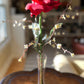 Rosa roja georgiana en jarrón Bud