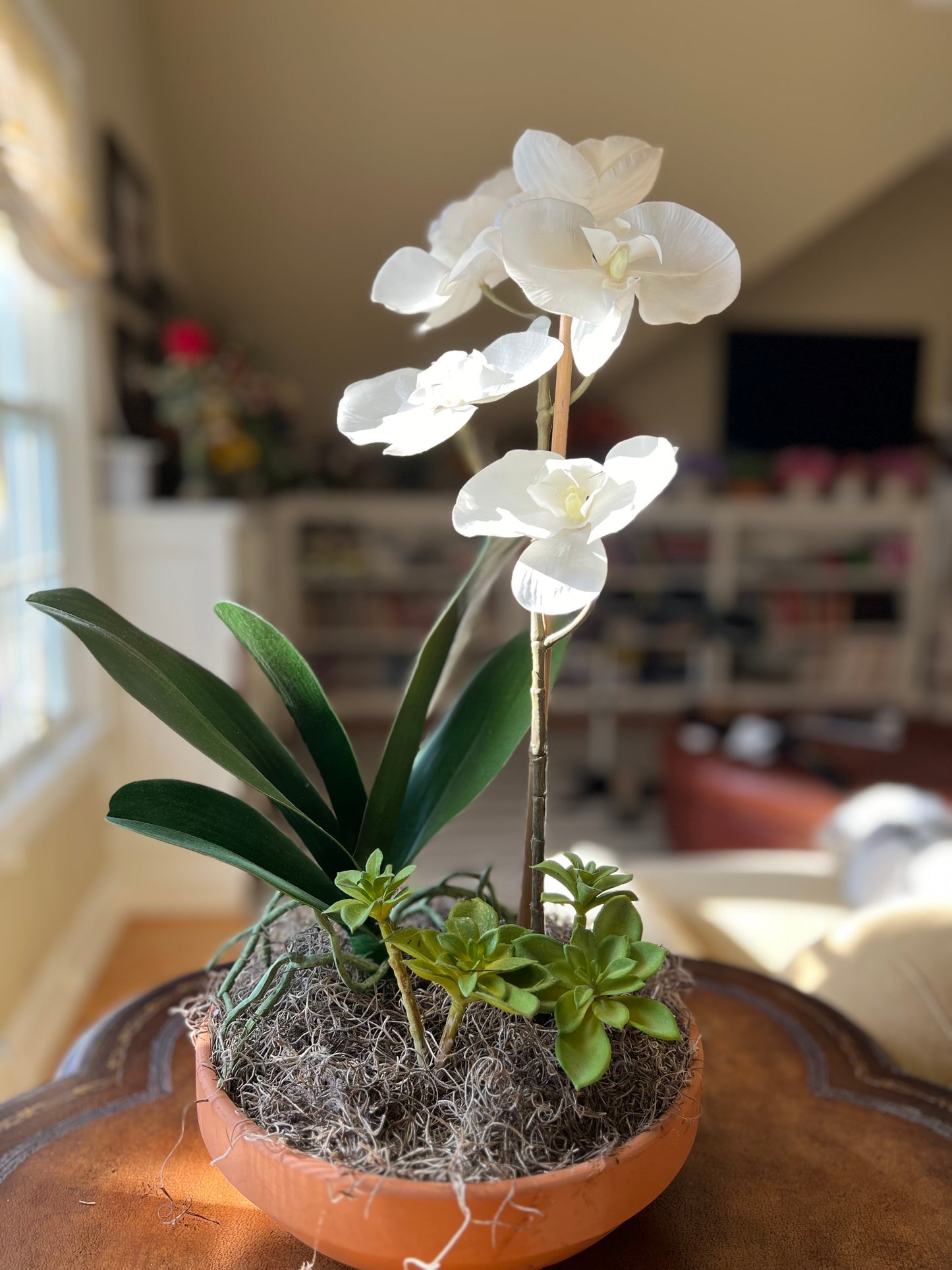 Orquídea blanca en cazuela de barro