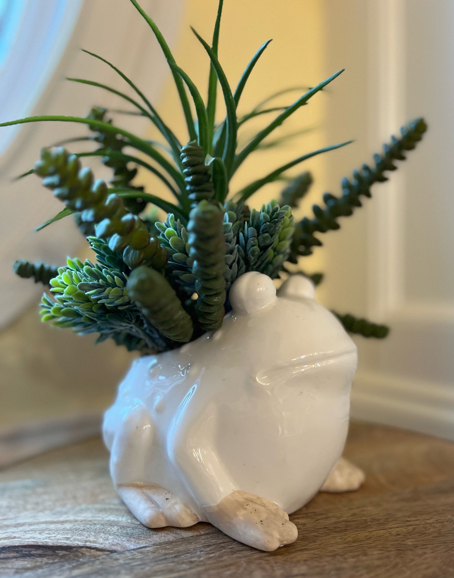 Frog Planter with Burro's Tail Succulents