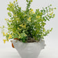Chicken Planter with Variegated Eucalyptus