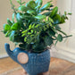 Elephant Planter with Mixed Greenery