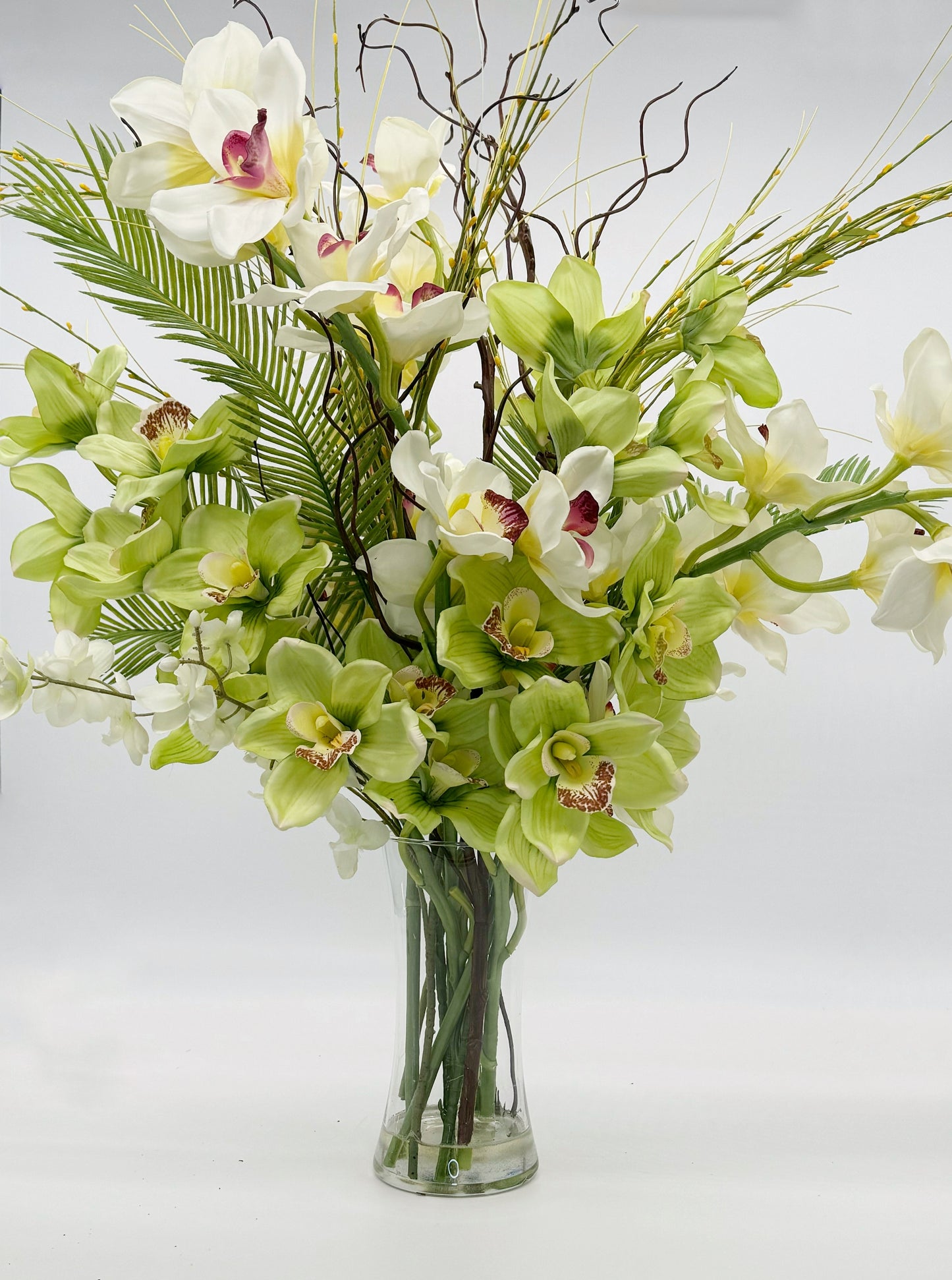 Cymbidium Orchid Display