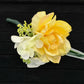 Yellow Rose Boutonniere with Hydrangea