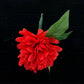 Red Blossom Boutonniere