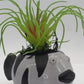 Fish Planter with Air Plant