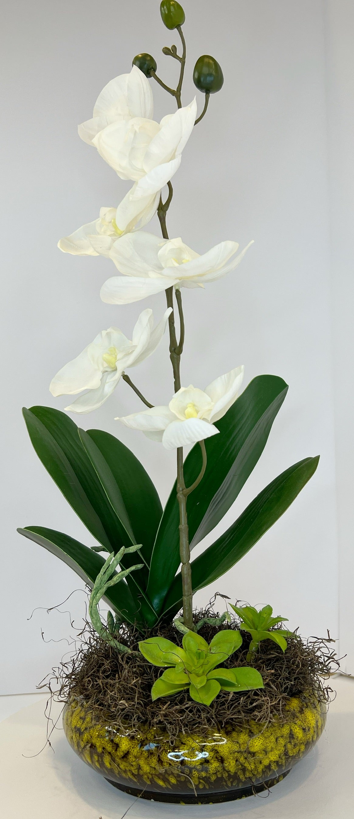 orchid arrangements with succulents Elegant Faux White Phalaenopsis