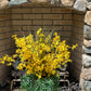 Forsythia amarilla, pastos, exhibición floral de urna alta