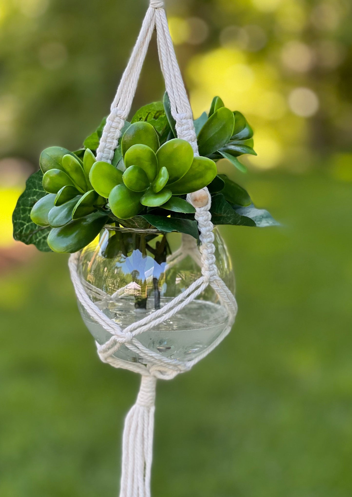 Boxwood and Ivy Hanging Macrame Planter in Glass Bowl