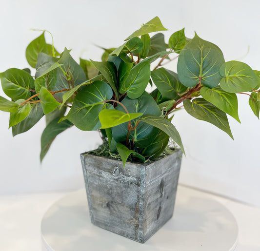 Philodendron in Wooden Cube Planter Silk Greenery