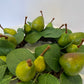Faux Pears and Eucalyptus