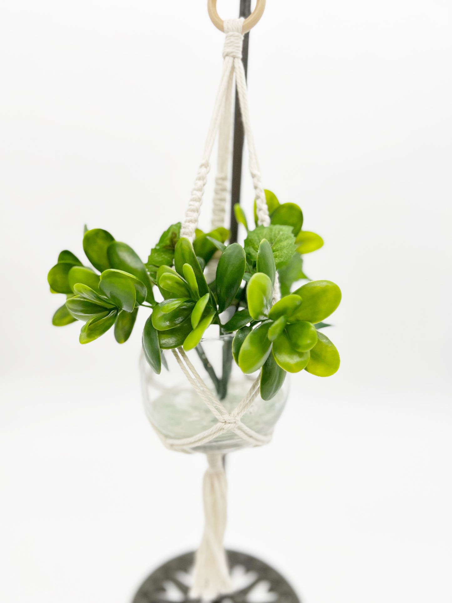 Boxwood and Ivy Hanging Macrame Planter in Glass Bowl
